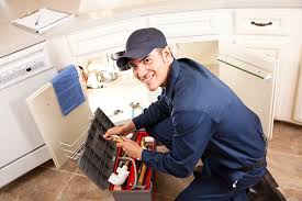 Best Commercial Plumbing Services  in Newark, IL